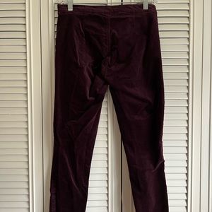 Velvet leggings